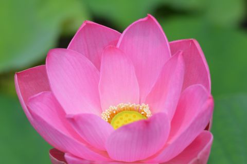 Stimme, Spiegel meiner Seele, Foto © Anja Homeyer